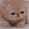 ForumReader's Avatar