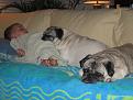 My nephew Sebastian with Butch and Blossum
