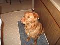 X Mas 2008 032