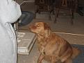 X Mas 2008 034