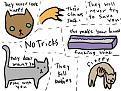 why i hate cats